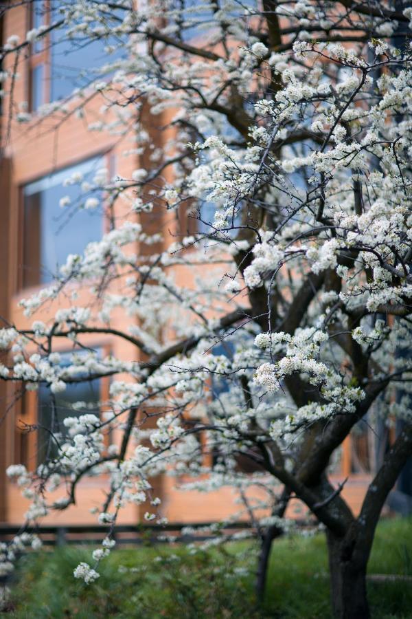 Nomades Hotel Boutique コイハイケ エクステリア 写真